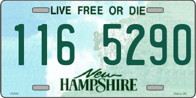 NH license plate 1165290