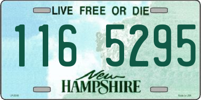 NH license plate 1165295