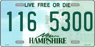 NH license plate 1165300
