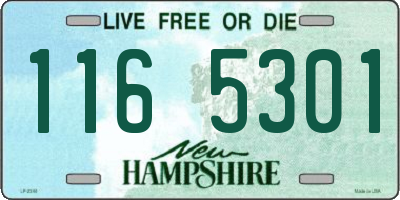 NH license plate 1165301