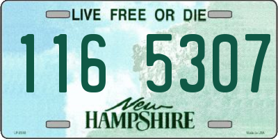 NH license plate 1165307