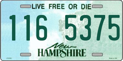 NH license plate 1165375
