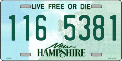 NH license plate 1165381
