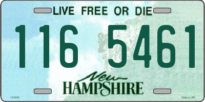 NH license plate 1165461