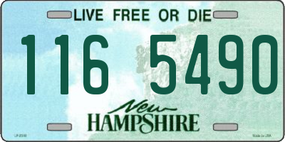 NH license plate 1165490