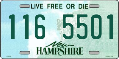 NH license plate 1165501
