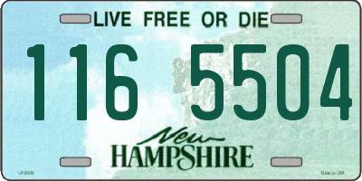 NH license plate 1165504