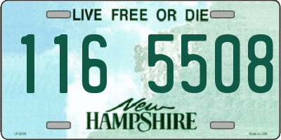 NH license plate 1165508