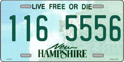 NH license plate 1165556