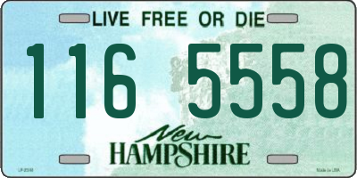 NH license plate 1165558