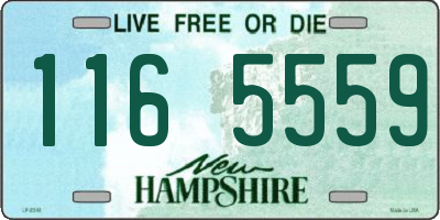 NH license plate 1165559