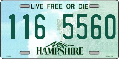 NH license plate 1165560