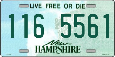 NH license plate 1165561
