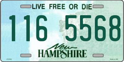 NH license plate 1165568