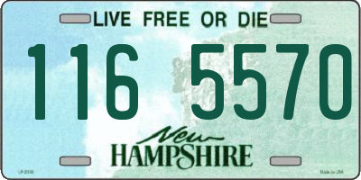 NH license plate 1165570