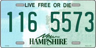 NH license plate 1165573