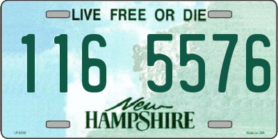 NH license plate 1165576