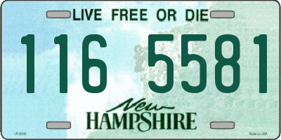NH license plate 1165581