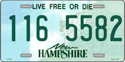 NH license plate 1165582