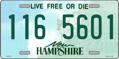 NH license plate 1165601