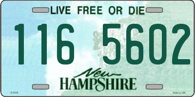 NH license plate 1165602