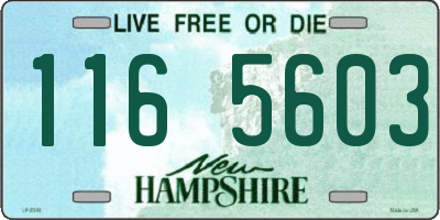 NH license plate 1165603