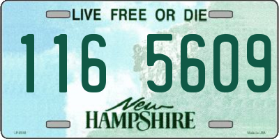 NH license plate 1165609