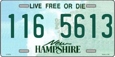 NH license plate 1165613