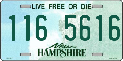 NH license plate 1165616