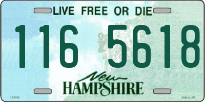 NH license plate 1165618
