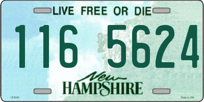 NH license plate 1165624