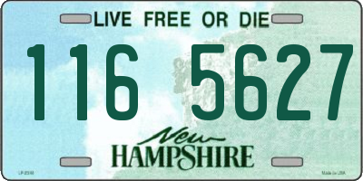 NH license plate 1165627