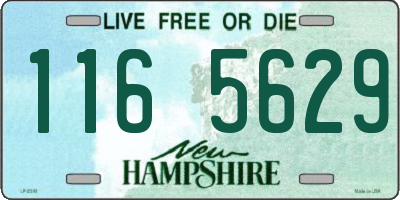 NH license plate 1165629