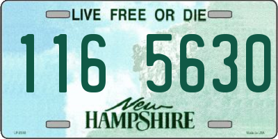 NH license plate 1165630