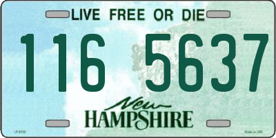 NH license plate 1165637