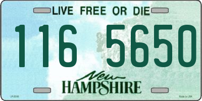 NH license plate 1165650