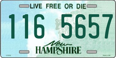 NH license plate 1165657