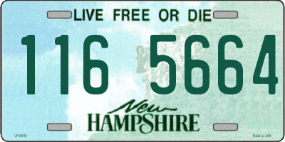 NH license plate 1165664