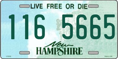 NH license plate 1165665