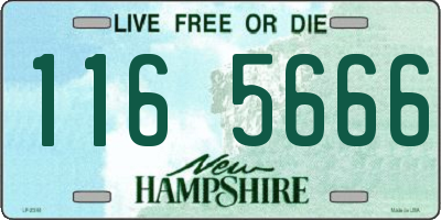 NH license plate 1165666
