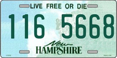 NH license plate 1165668