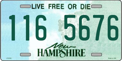 NH license plate 1165676
