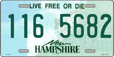 NH license plate 1165682