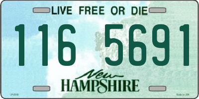 NH license plate 1165691