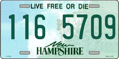 NH license plate 1165709