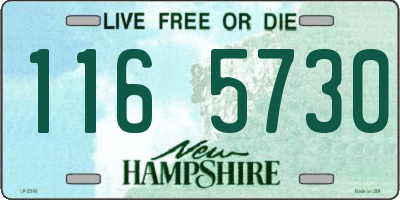 NH license plate 1165730