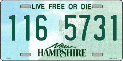 NH license plate 1165731