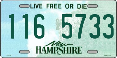 NH license plate 1165733