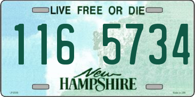 NH license plate 1165734