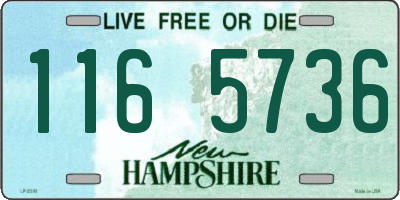 NH license plate 1165736